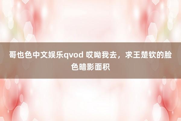 哥也色中文娱乐qvod 哎呦我去，求王楚钦的脸色暗影面积