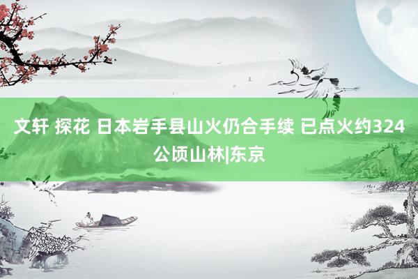 文轩 探花 日本岩手县山火仍合手续 已点火约324公顷山林|东京